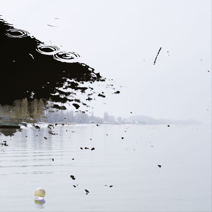 Dissolution