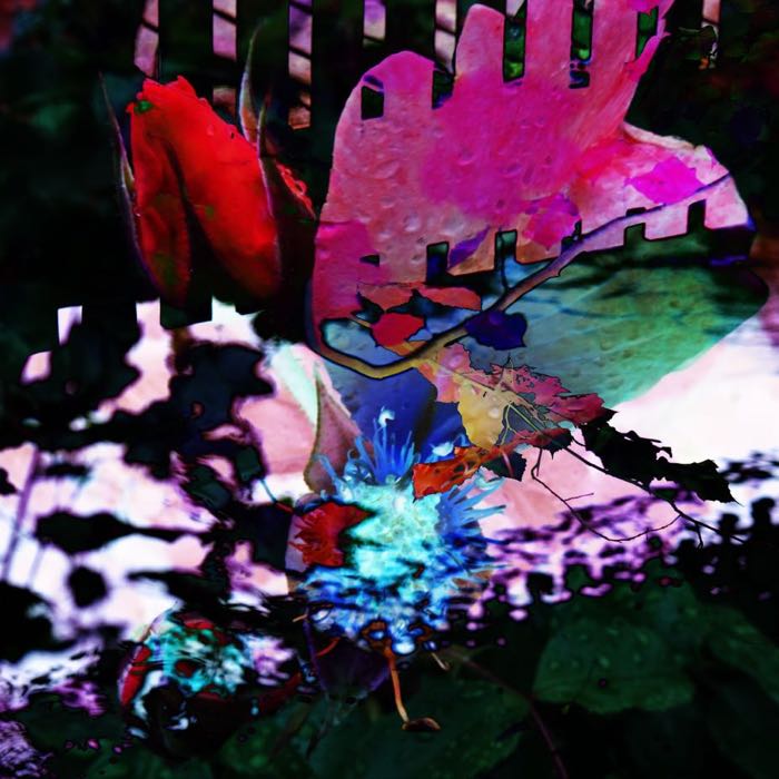 The garden