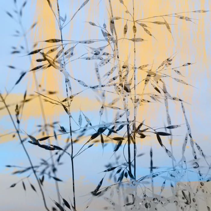 Delicate matter