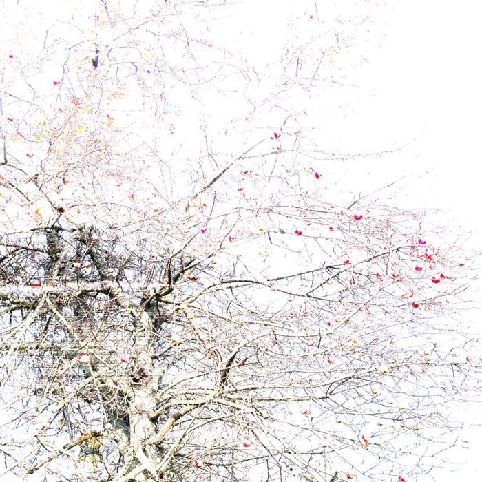 Scattered