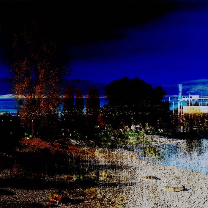 Harbour night