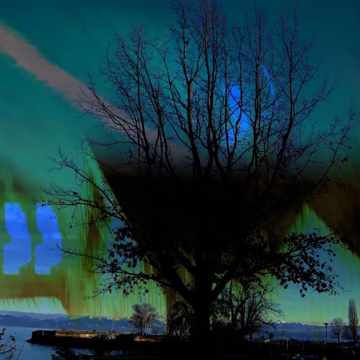 Northern lights on the lake