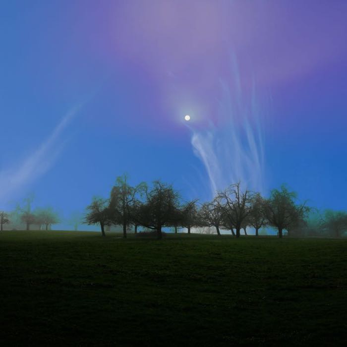 Orchard moon