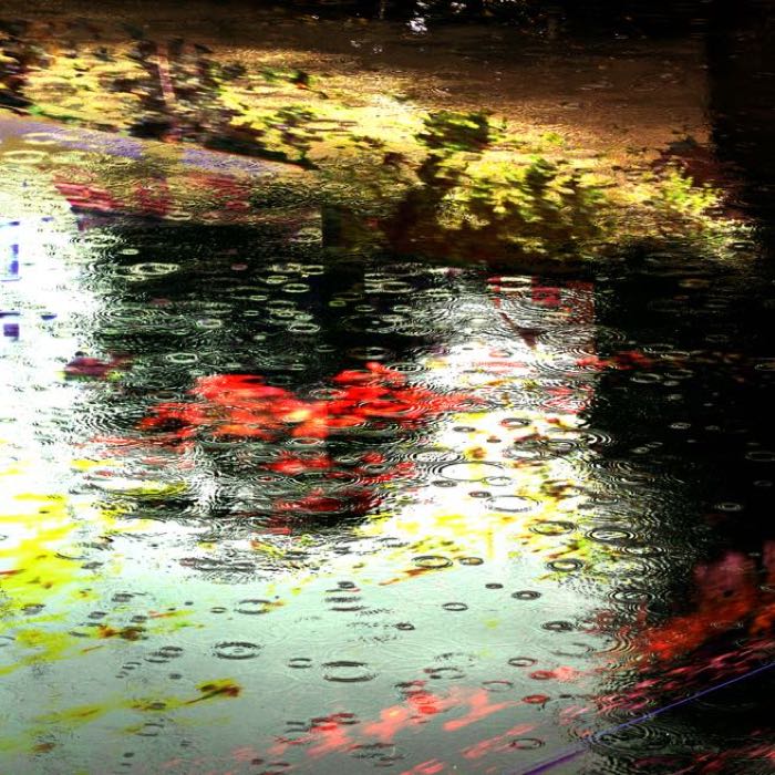Puddle world